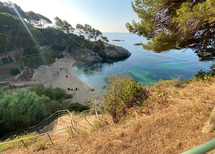 En Platja De Aro With Pool 450m From The Villa *